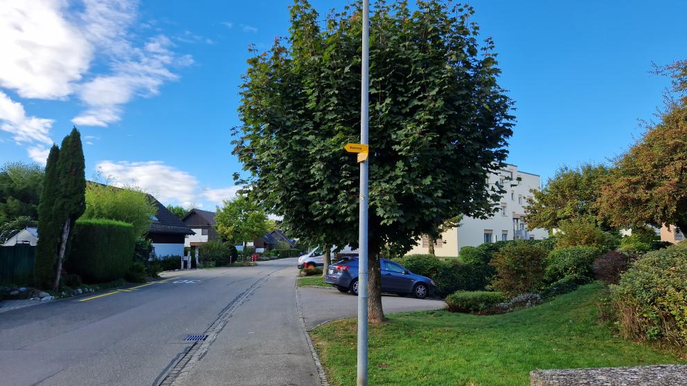 image of trail marking sign with arrows showing direction